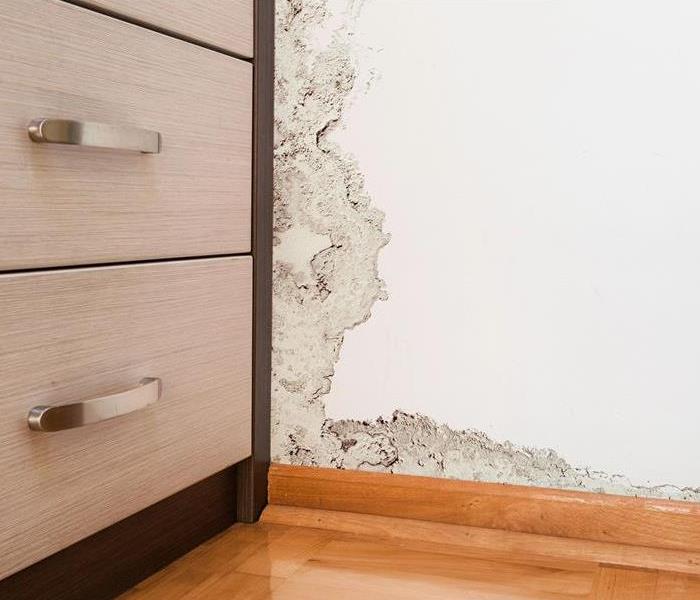Water detection on wall